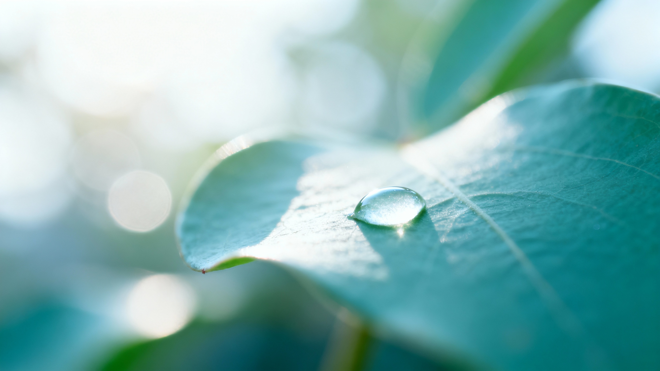 Featured image for Unlocking Self-Assurance: Overcoming Acne and Boosting Confidence